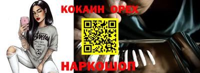 хмурый Сланцы