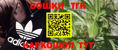хмурый Сланцы