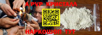 хмурый Сланцы