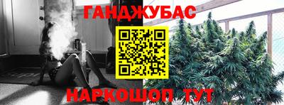стаф Славгород