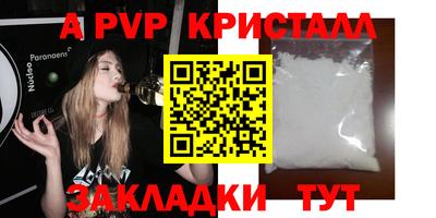 стаф Славгород