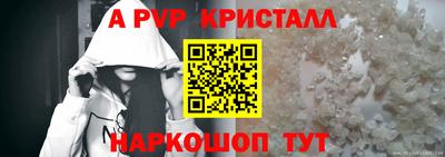хмурый Сланцы