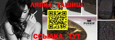 стаф Славгород