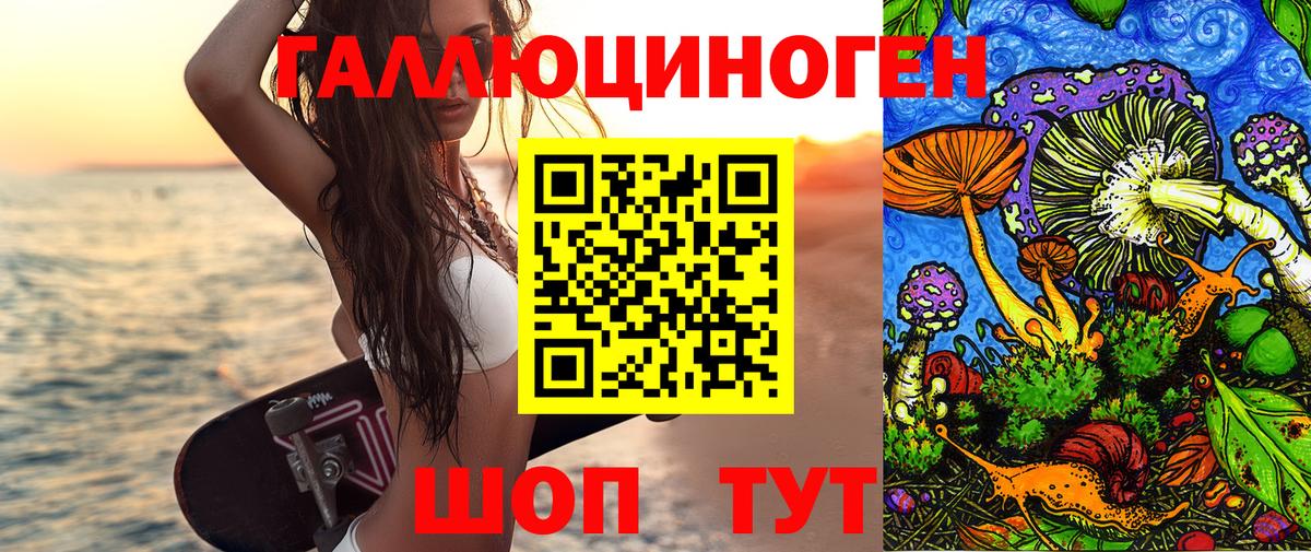 Сертолово  что такое   Вход с VPN  Псилоцибиновые грибы ЛСД  Псилоцибиновые грибы Psilocybe 